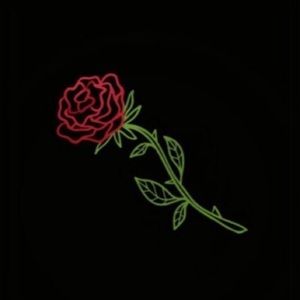 Meet your Posher, Paige